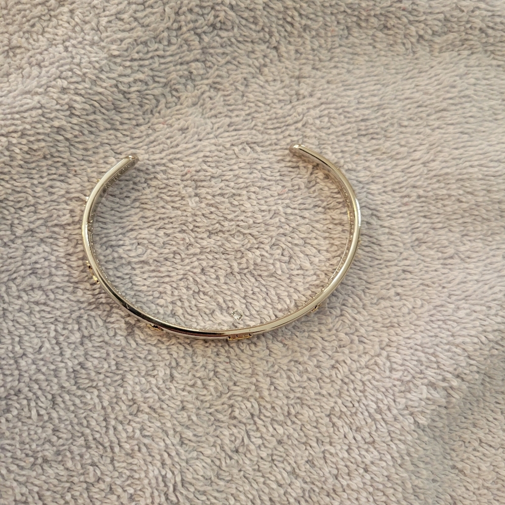 Harry Potter Alex and Ani bengal